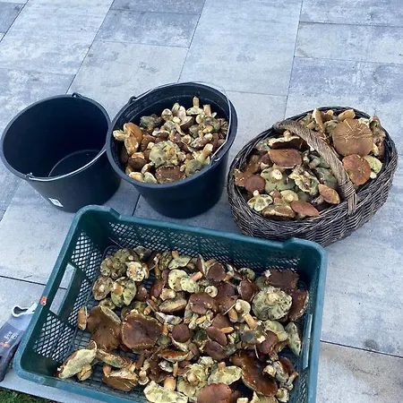 Osada Zdrojowa U Martyny Шале *